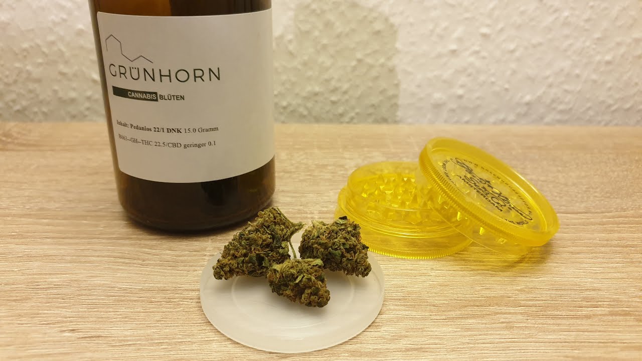 Med. C. 🥦 Sorten Review - Pedanios 22/1 DNK