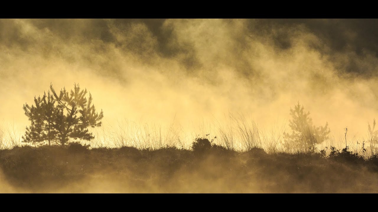 Natuurmonumenten route Kampina en Brabantse Vennen