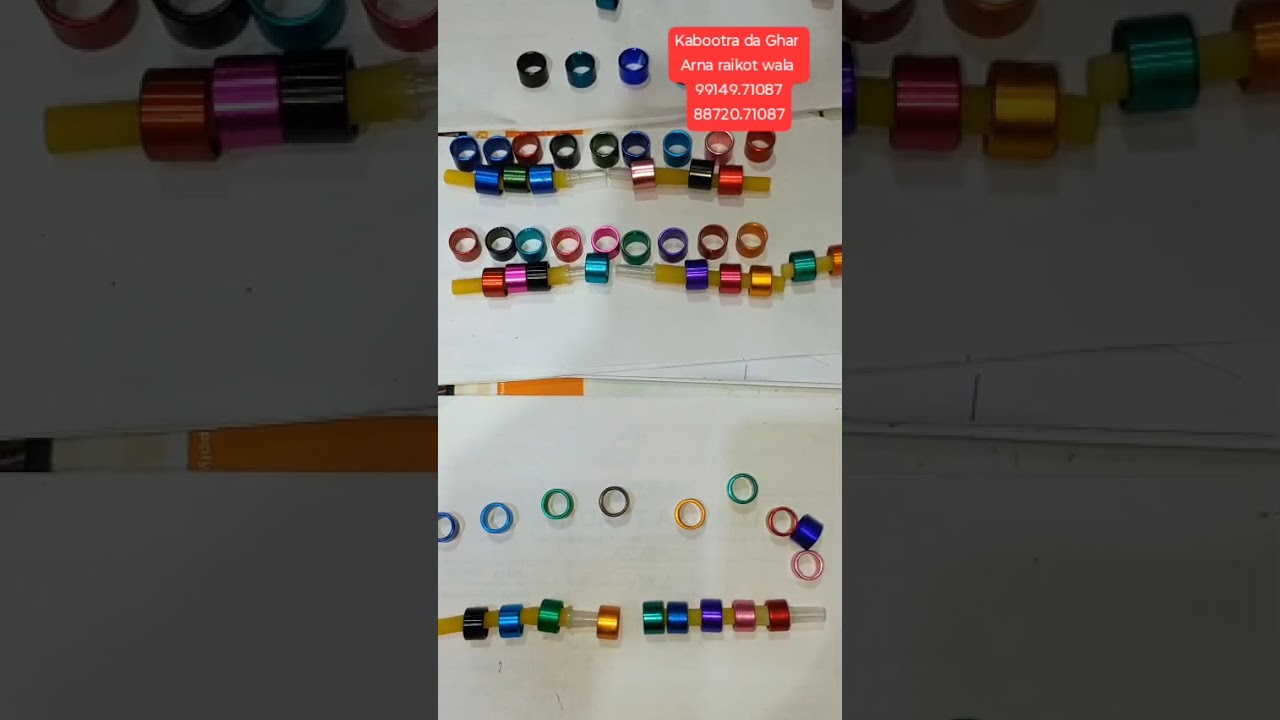 Laser printed rings with name, phone number, counting for pigeons