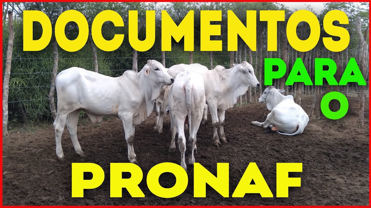 TODOS OS DOCUMENTOS NECESS&Aacute;RIOS PARA O PRONAF! + TERRA ARRENDADA!