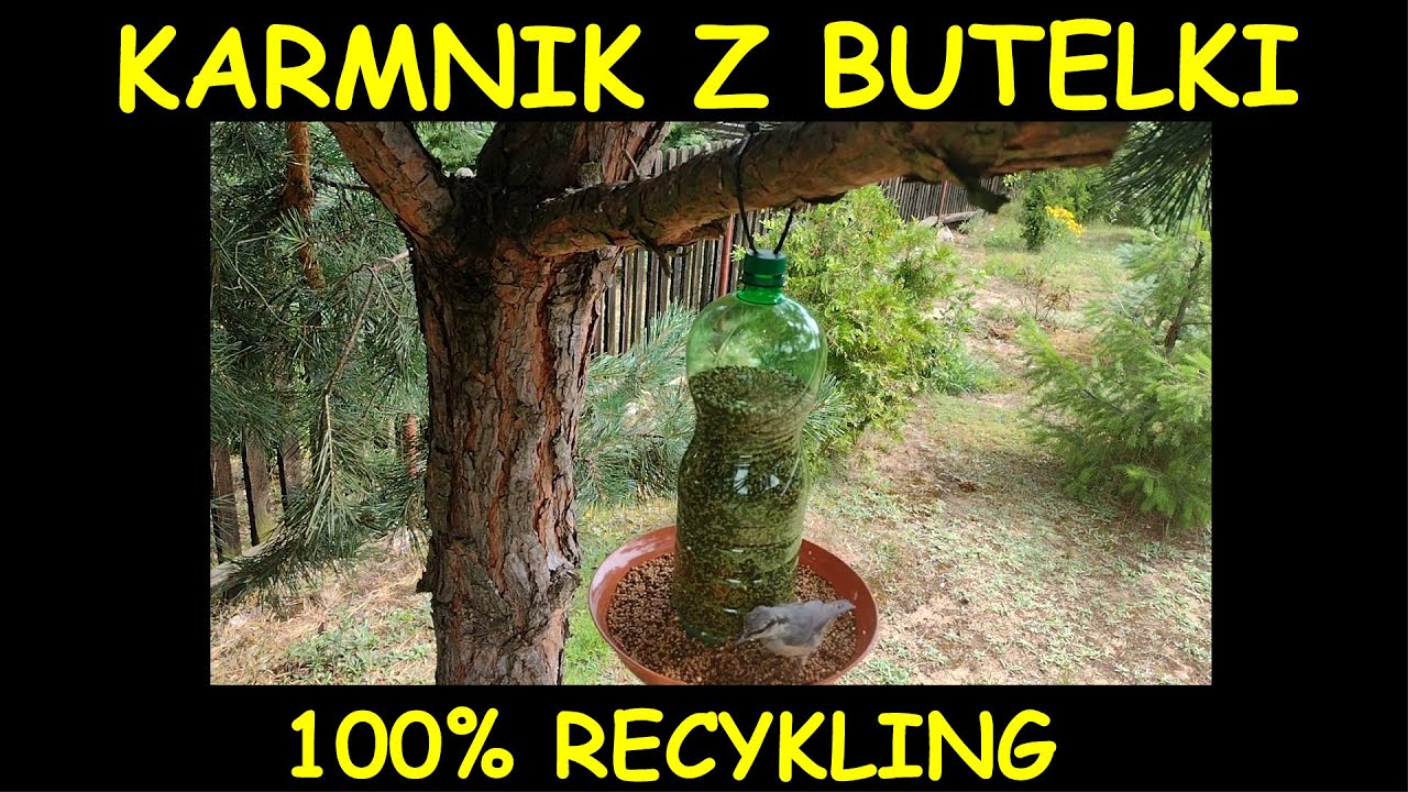 ♻️🐦🧴 Jak zbudować karmnik dla ptak&oacute;w z butelki pet oraz podstawki pod doniczkę? 100% recykling DIY♻️
