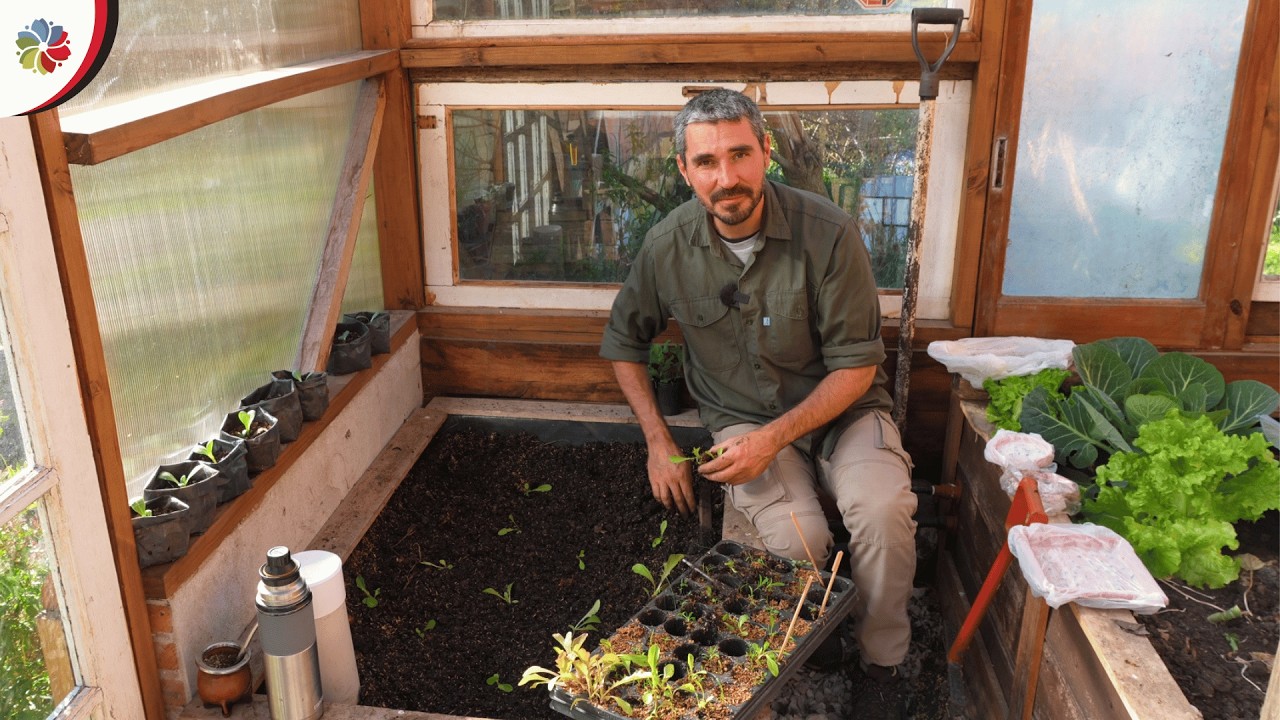 Un año de aprendizajes en el INVERNADERO de la MINI GRANJA 👨‍🌾