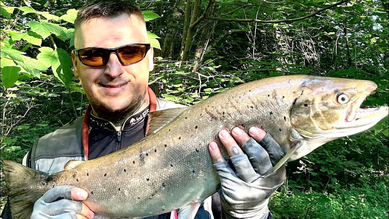 Troć 72 cm Parsęta