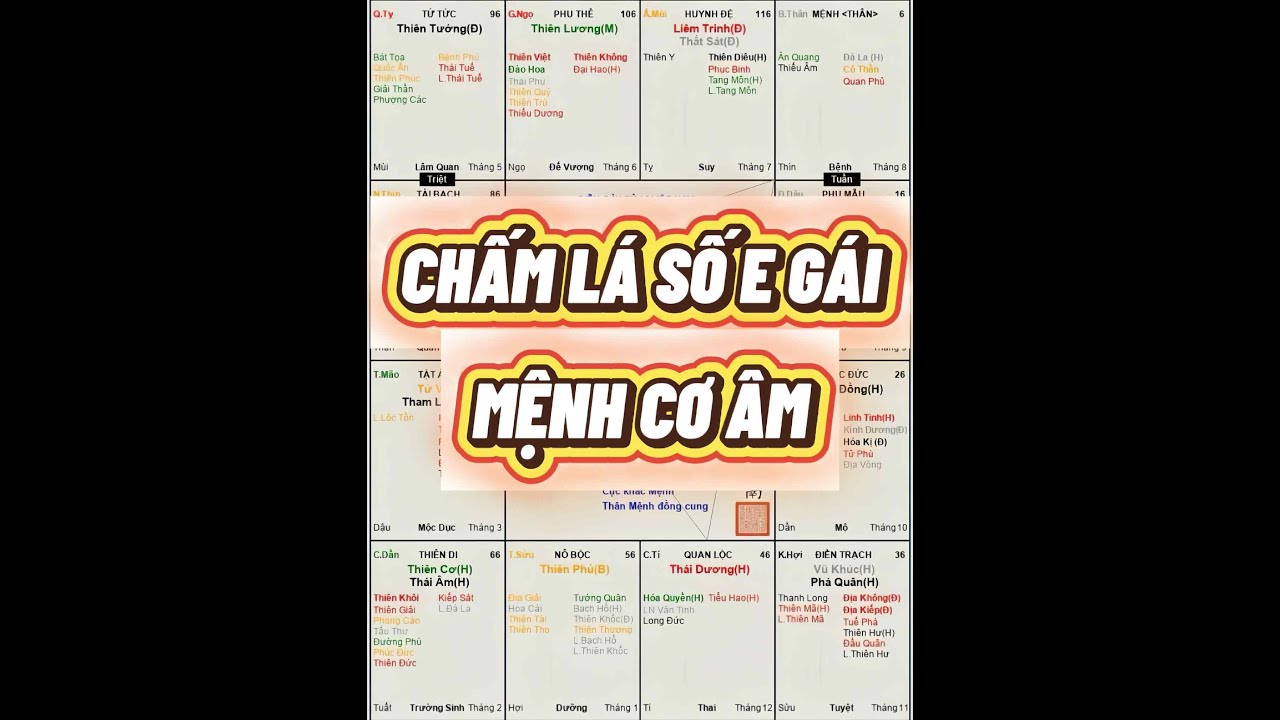 CHẤM LÁ SỐ E GÁI MỆNH CƠ ÂM | TỬ VI CHÍNH TÔNG | TỬ VI THANH LONG