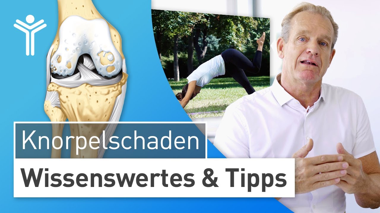 Knorpelschaden: Ursache und Vorbeugung von Gelenkverschleiss | Experten Tipps von Dr. Stefan Preis