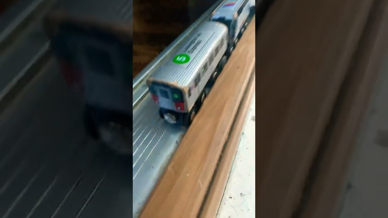 DO NO LEAVE THE 5 TRAIN