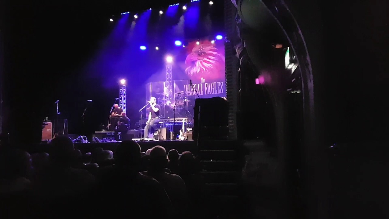 Illegal eagles, york 12/5/17