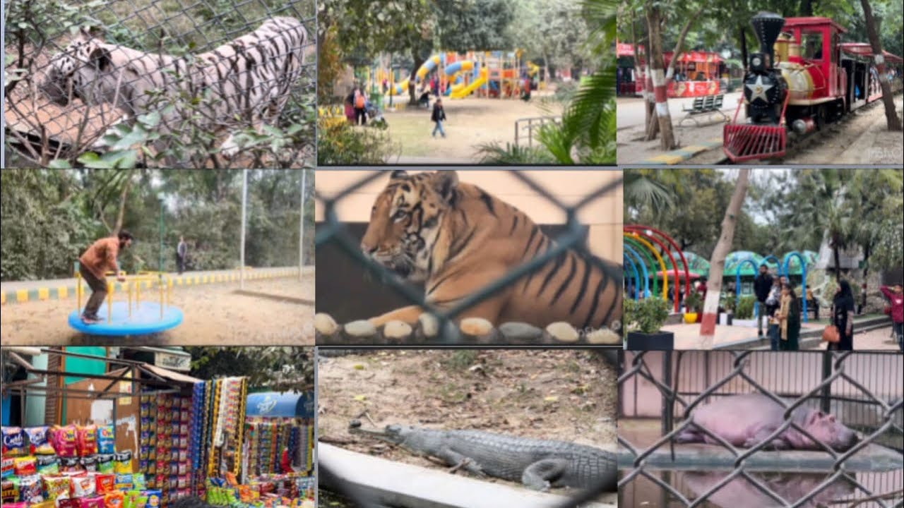 lucknow zoo amazing experience with family 