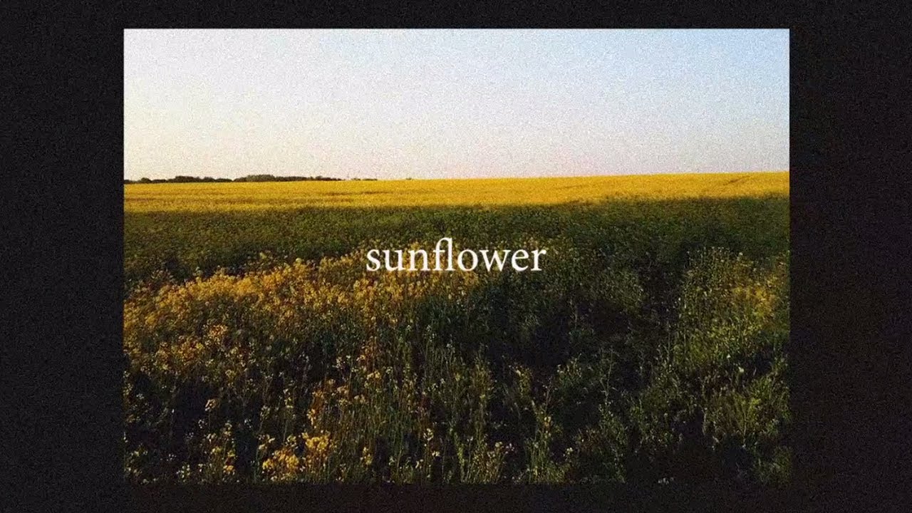 post malone & swae lee - sunflower [wingnut remix]