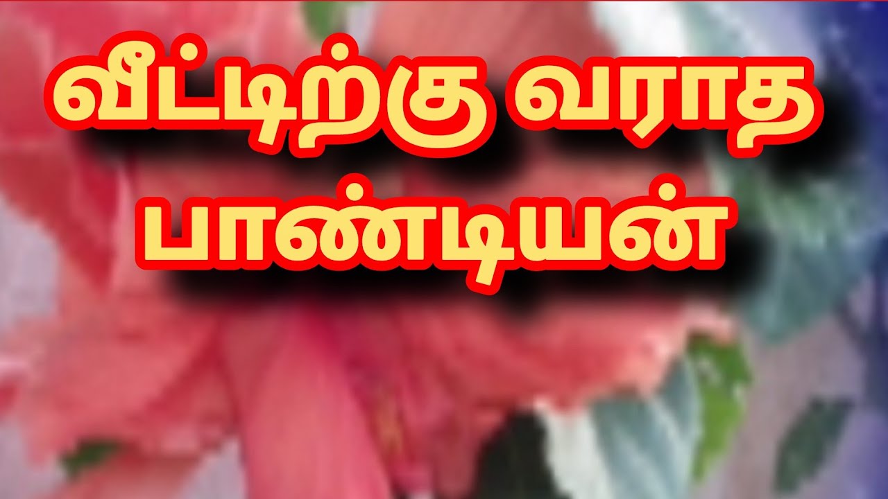 Pandiyan Stores-2 Prediction |19th to 20th March 2026|வீட்டிற்கு வராத பாண்டியன் |என் கணிப்பு  