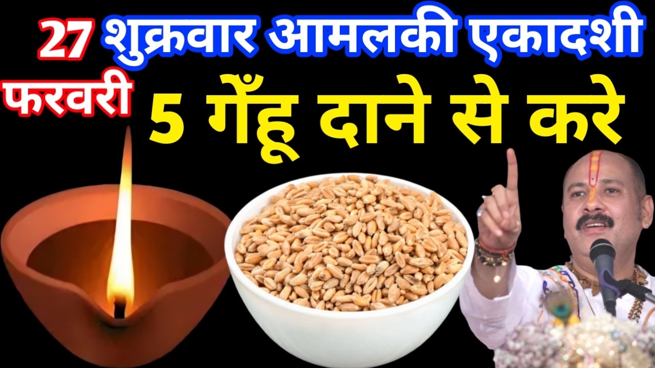 27 फरवरी शुक्रवार आमलकी एकादशी व्रत के दिन 5 गेंहू के दाने वाला उपाय जरुर करे || Pradeep Ji Mishra