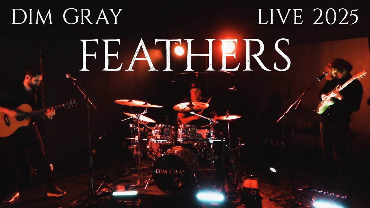 Feathers - Live in Studio 2025