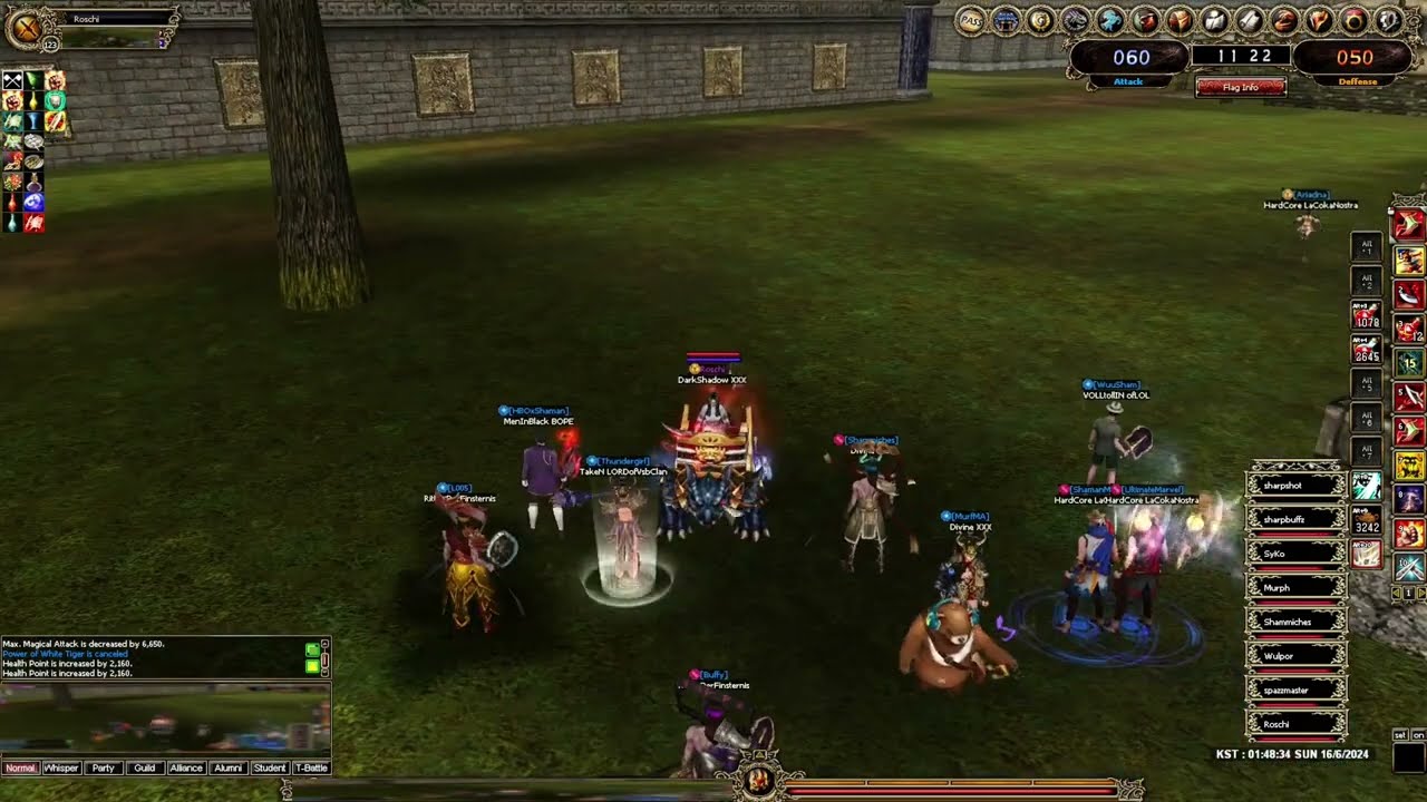 Kal Online, Castle War Roschi Lev 123 Dark shadow XXX Guild