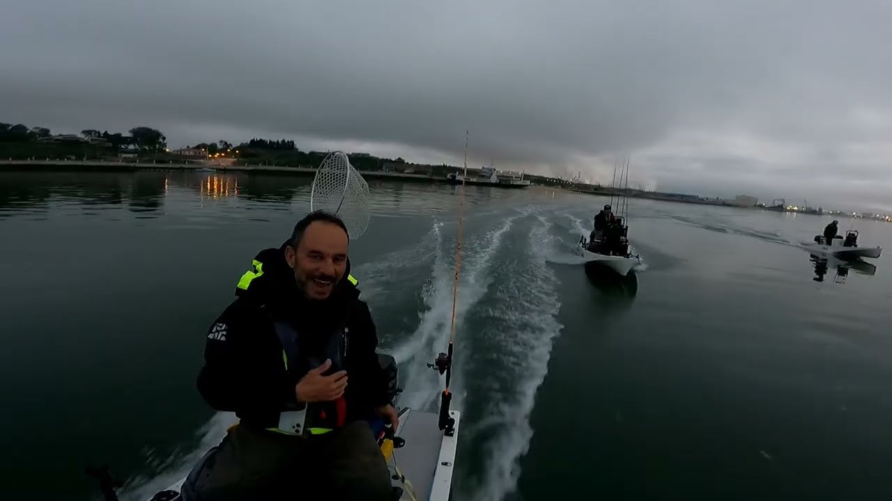 Brutal dia de chocos no Sado. Parte 1