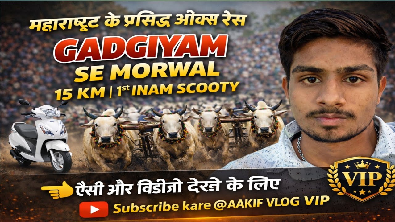 महाराष्ट्र की प्रसिद्ध बेलरेस गडगियम से मोरवाल #cow 