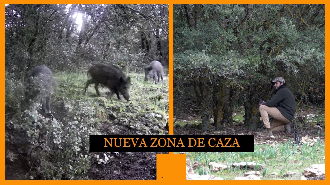 Nueva zona de caza. Explorando un nuevo terreno -Todocaza-