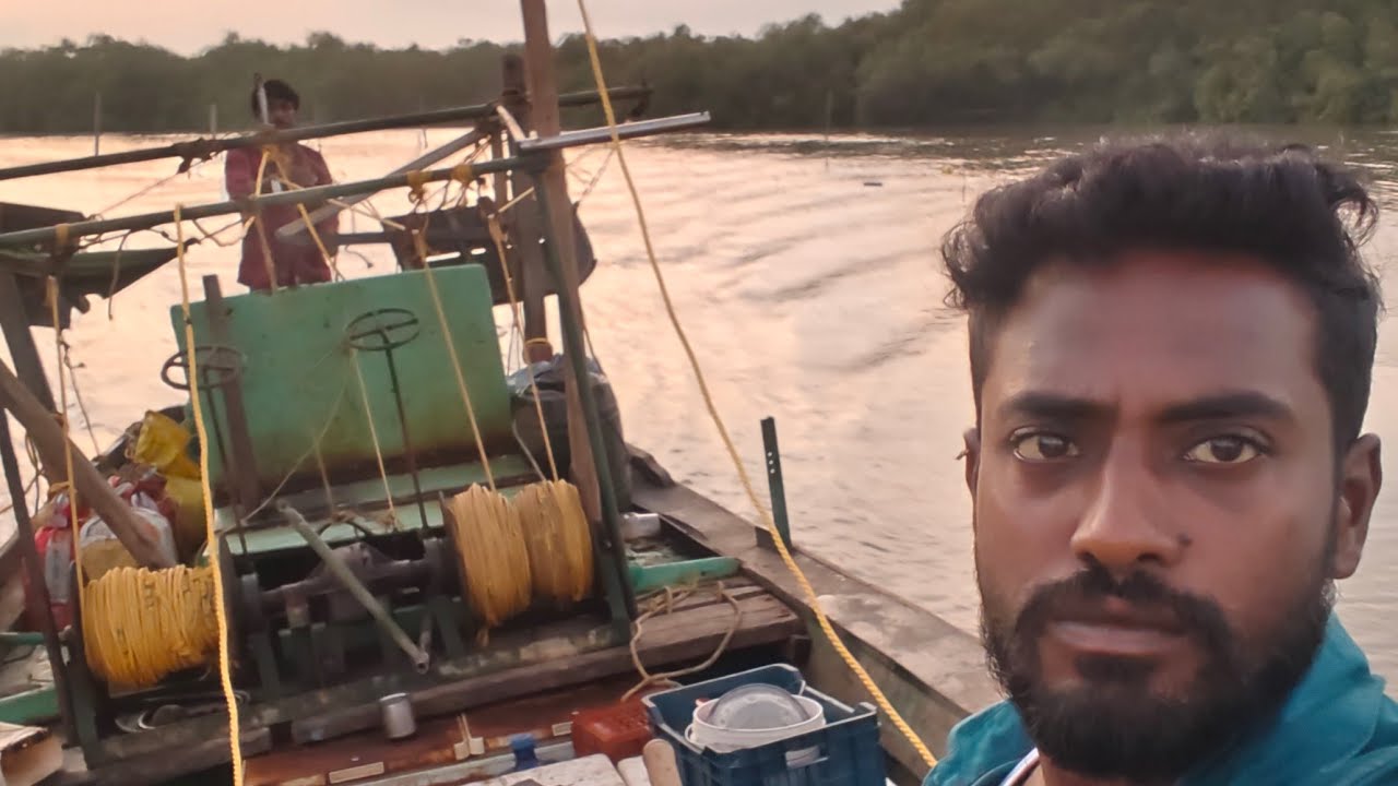 BT Dryfish Videos is live!