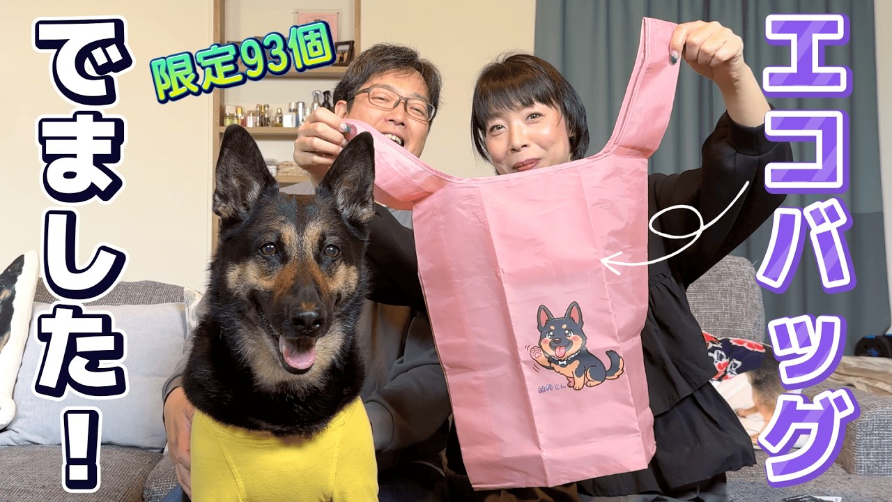 動画930本記念で、ついに愛犬の初グッズを作りました！【限定93個】