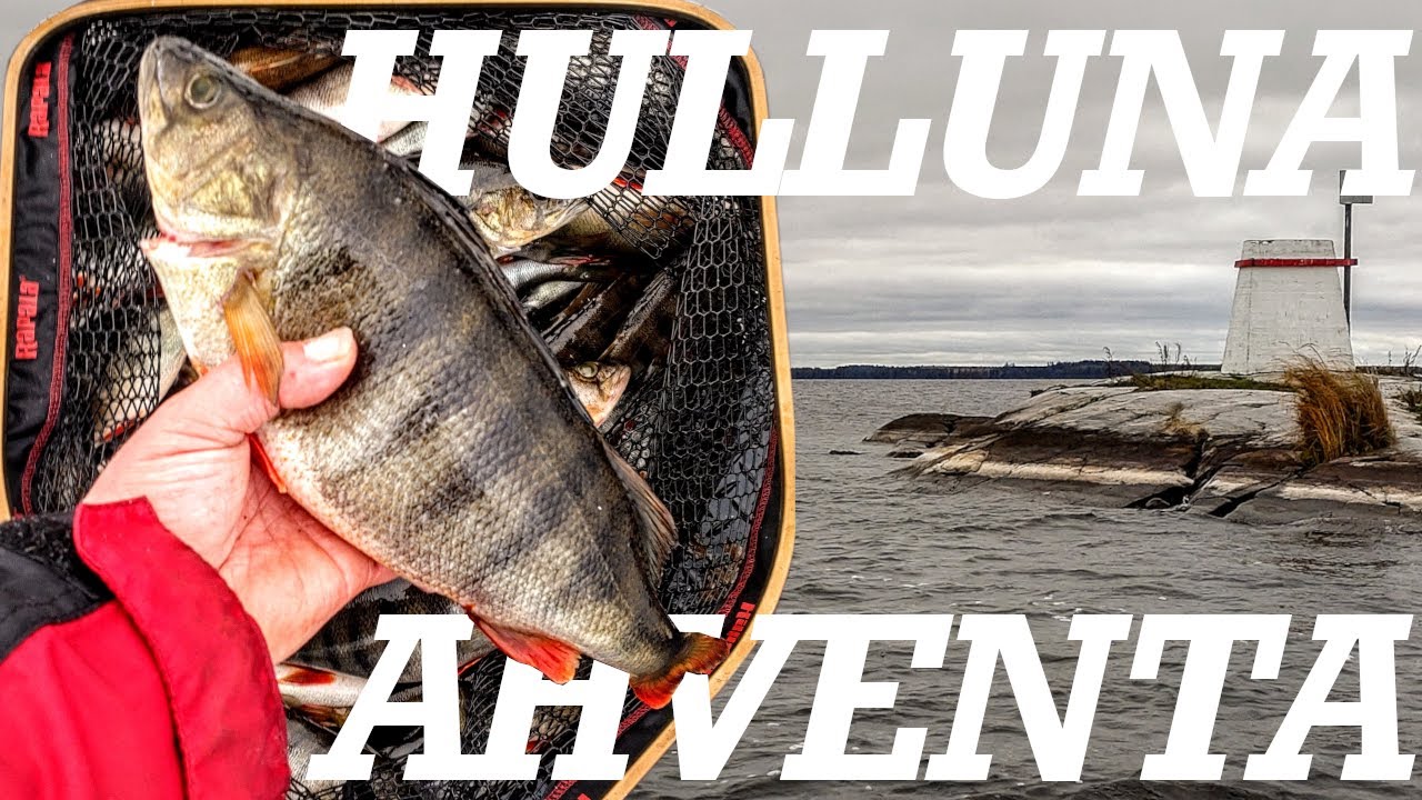 20+ KILOA AHVENPÖLLIÄ JIGILLÄ - KUORETTA AHTAVAA AHVENTA TASANKOALUEILTA