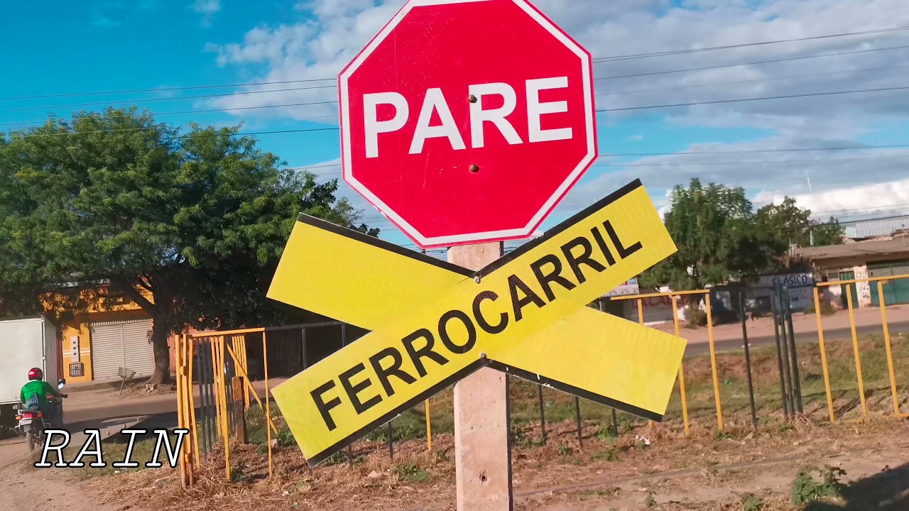 RECORRIENDO EL TRILLO HASTA  LA  PAMPA DE LA ISLA SANTA CRUZ DE LA SIERRA BOLIVIA HD 🇧🇴