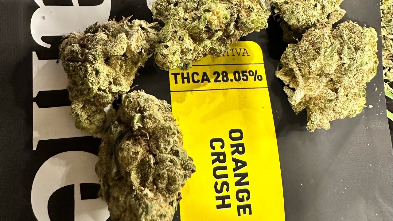 Orange Crush Strain Review~PA Medical