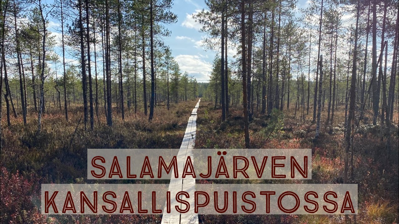 Syksyinen viikonloppuretki Salamajärven kansallispuistossa | Päästäänkö metsäpeuran jäljille