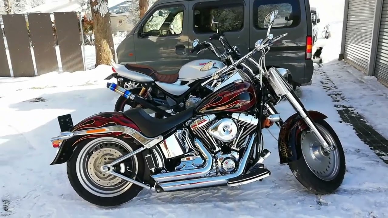 寒波が来る前に、バイクたちに外の空気を吸わせてあげる動画🏍️#ハーレー#バリオス#暖機#アイドリング#バイク#寒波