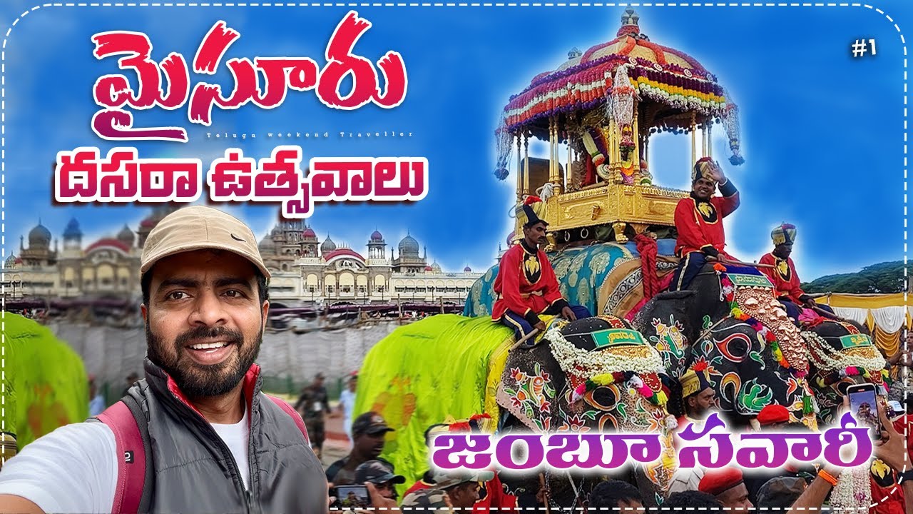 Mysore Dasara Festival 2024 #jamboosavari #mysoredasarajamboosavarai #mysoredasara2024 #telugutravel