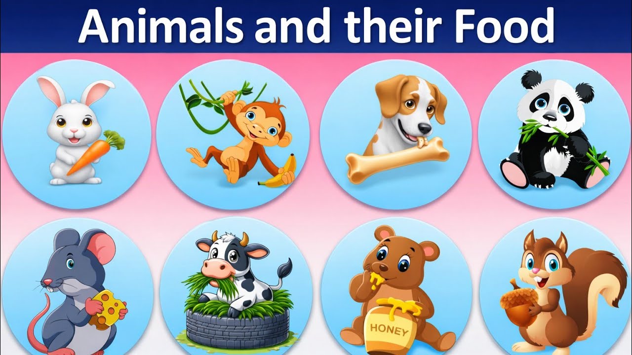 Animals and their food / Eating habits of Animals / Animals Eating food / Mamus Kids TV 