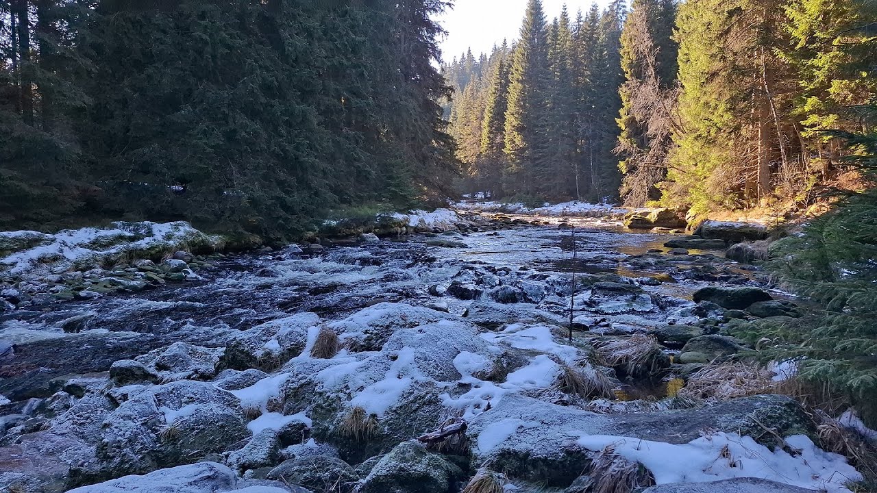 Hradlový most - Rechle, Modrava, Vydra