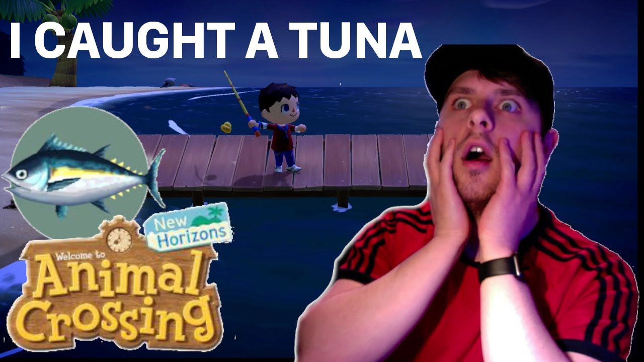 How To Catch A Tuna On Animal Crossing: New Horizons