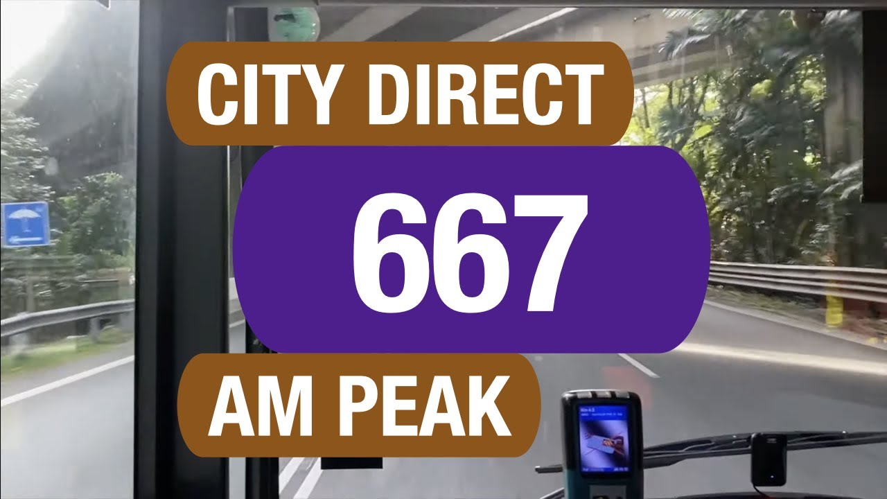 SBS Transit City Direct 667 (Morning Peak) | Bus Service Route Visual