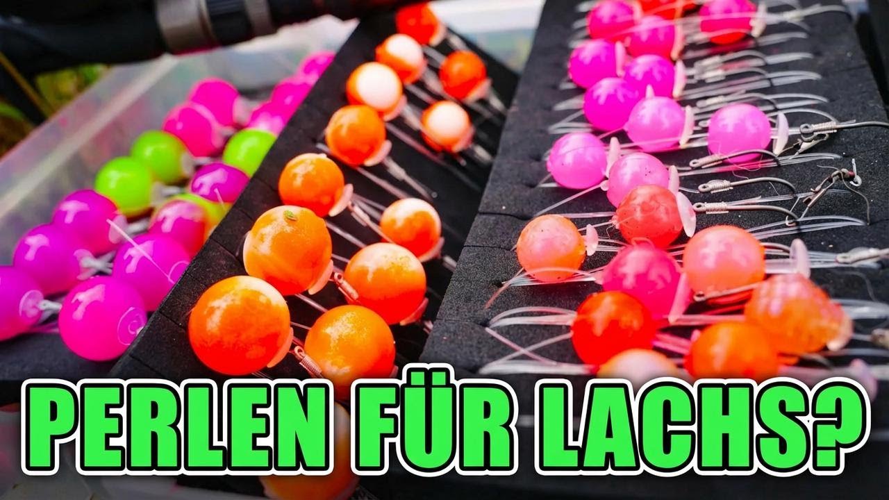 Mit Perlen auf Lachs angeln – Alles, was du wissen musst!