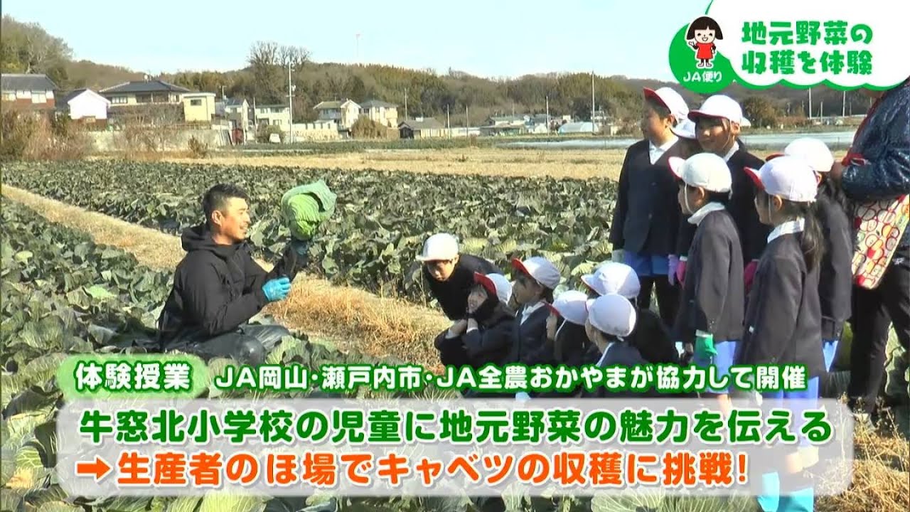 小学生がキャベツの収穫に挑戦「地元野菜の収穫を体験」｜【笑味ちゃん天気予報】2026年1月22日放送
