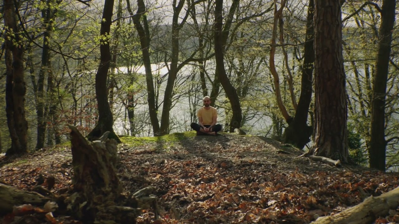 Max Kelm • The Trees are Talking (Music Video) • Celestial Dream