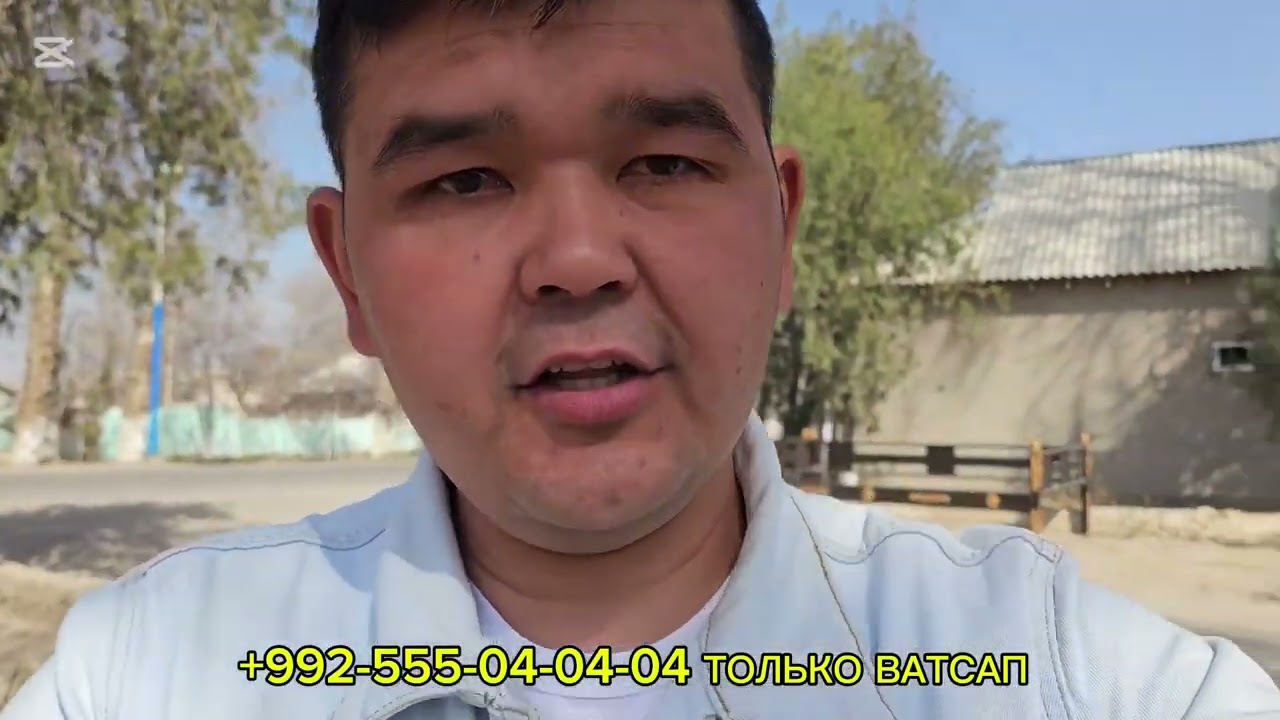 ШАВЕРМАХОНА МЕВАМАГАЗИН КАЧЕЛИ КАТАК КАРОВАТ ОХИР ВА ЯНГИ ДИЗАЙНЛАР