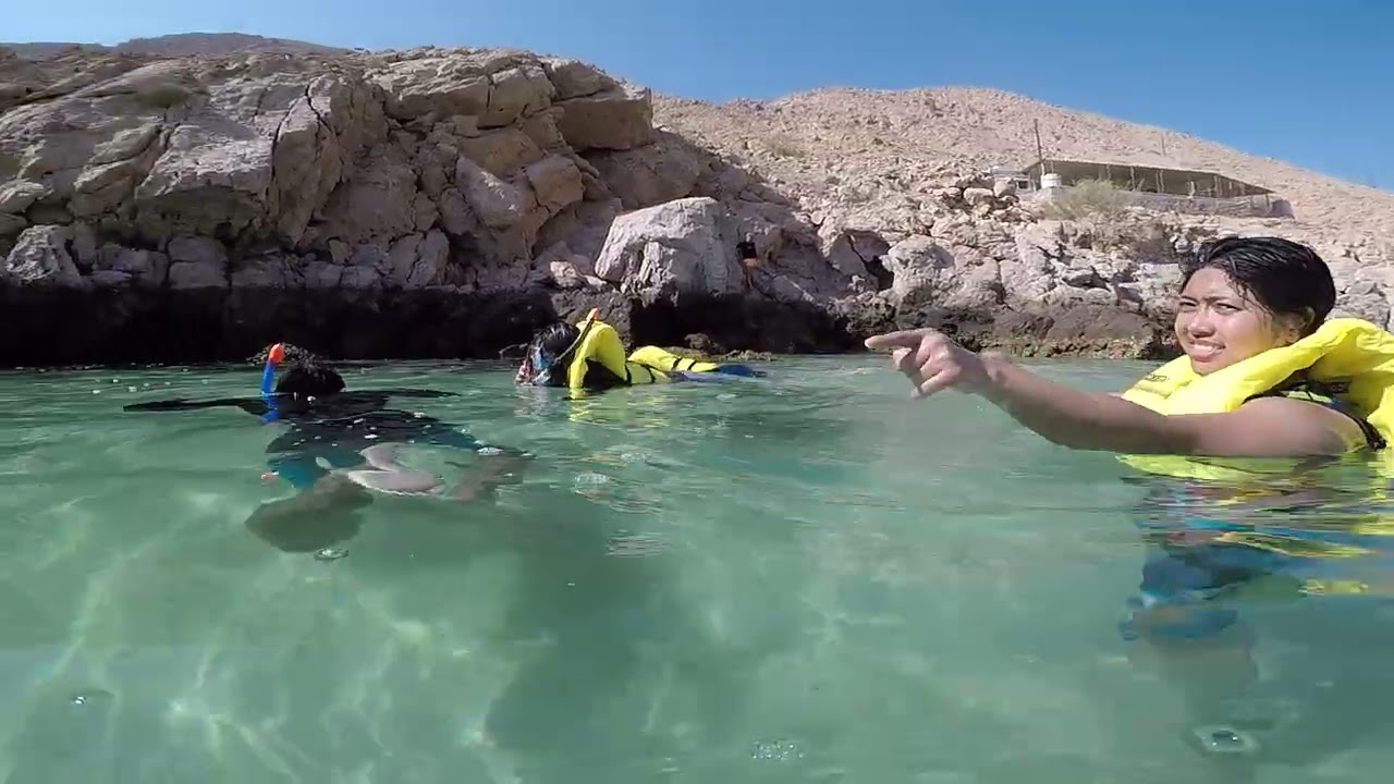 Musandam Dibba Cruises #musandamoman  #musandam  #oman #cruises #travel 👌🏻