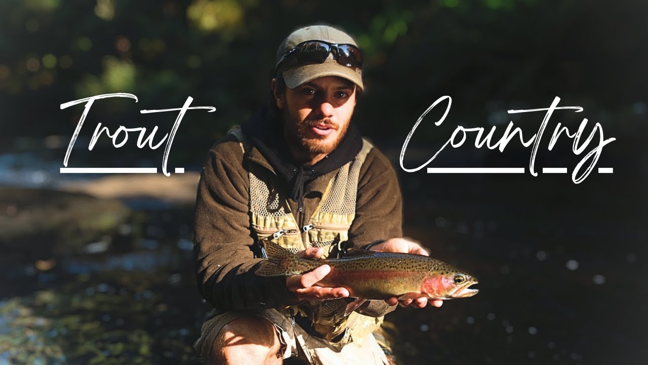 TROUT COUNTRY - Fly Fishing Northern NSW for Rainbow Trout