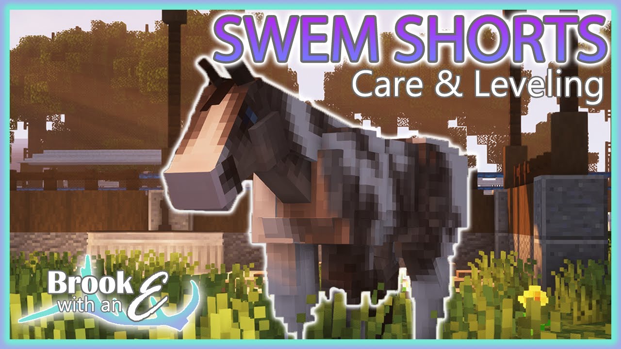 SWEM SHORTS- A Simple Guide to SWEM: How to care and level your horse