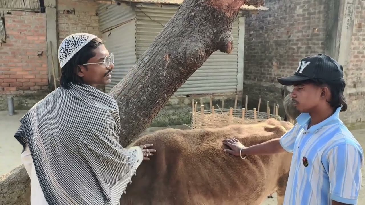 ​Vyapari ne garib ko thaga  গরিবের সাথে প্রতারণা