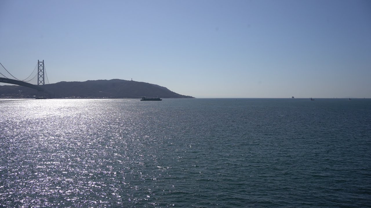 See View, February 17, 2026