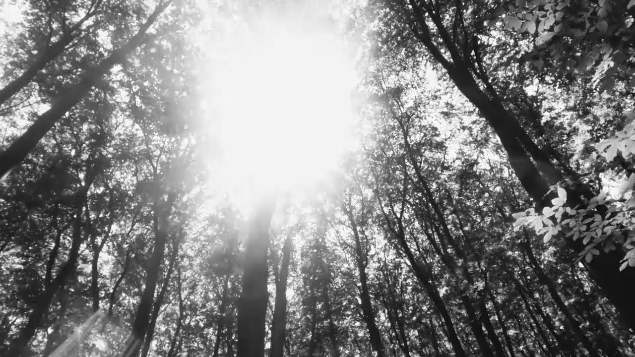 Deus Faust - Against the Sun