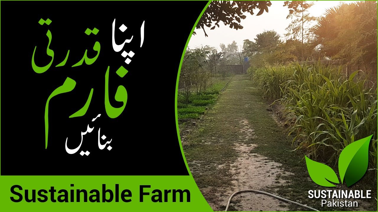 Sustainable Farm House in Lahore - Punjab - Pakistan | Mitti aur bans ka faram barki bedian road