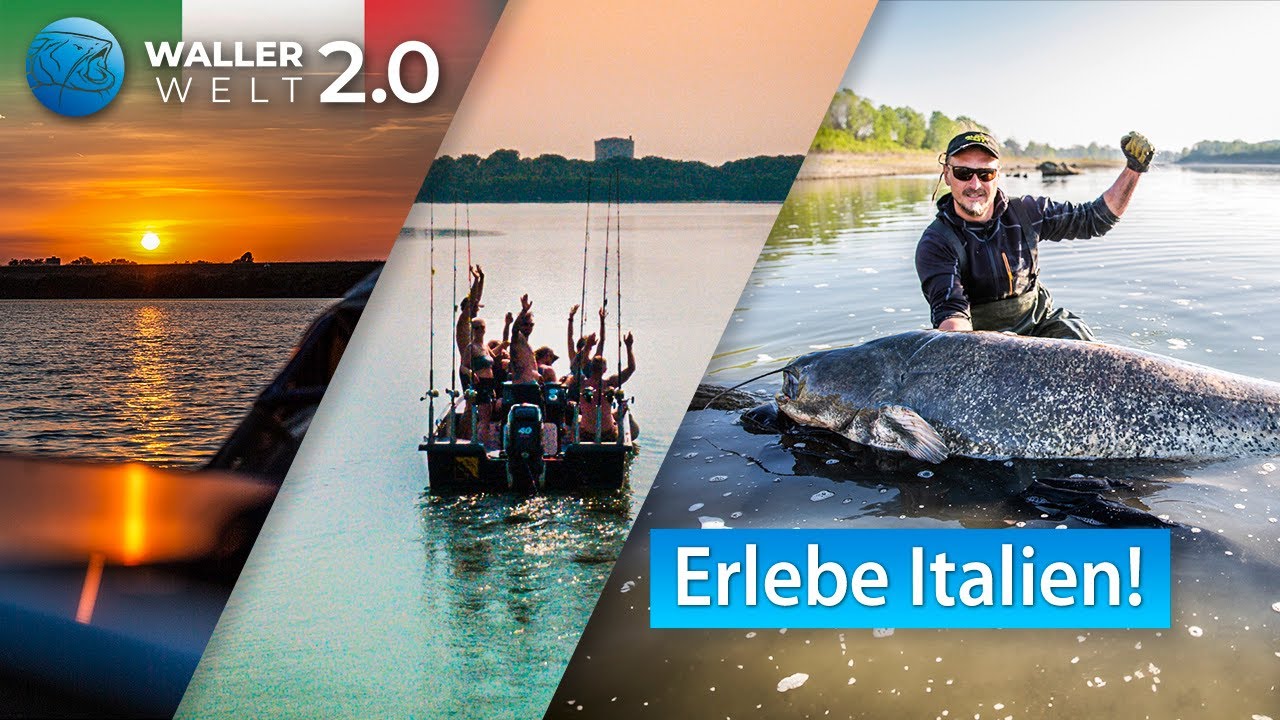 Wallerangeln am Po - Erlebe Italien pur in der Waller Welt 2.0 Welscamp am Po Oberlauf  #wallerwelt2