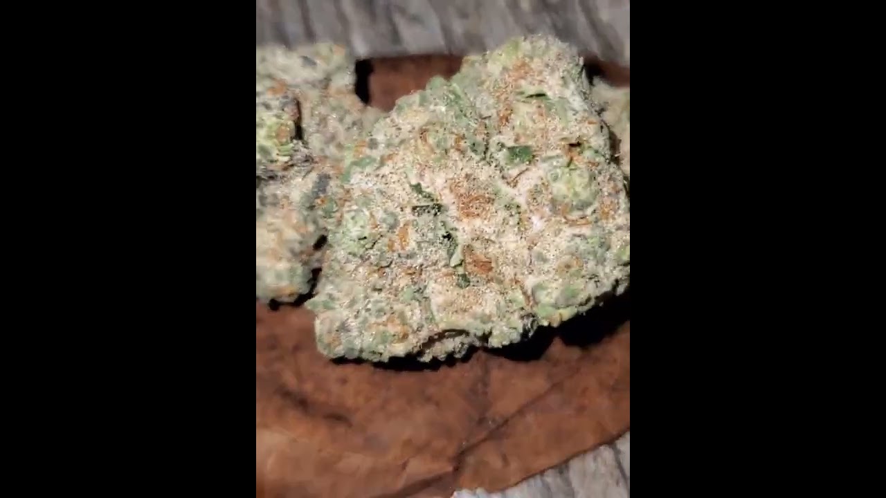 Exotic Roll Up 3g Backwood