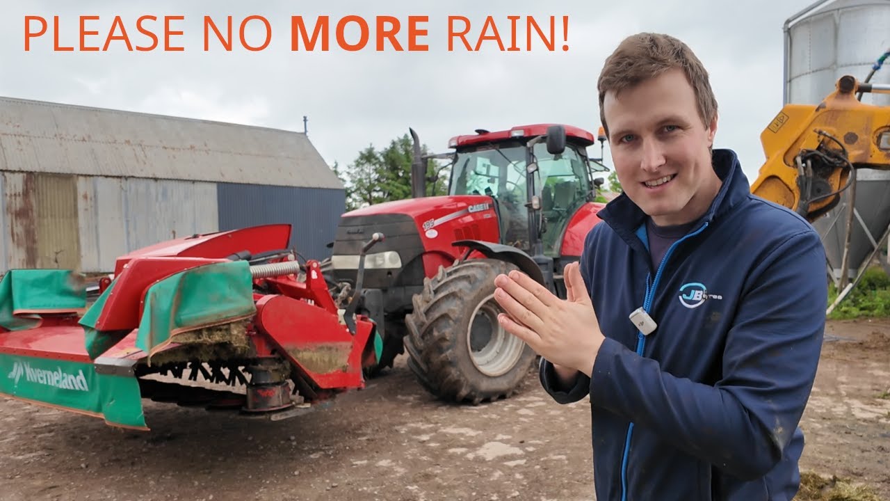 MOWING our SECOND CUT!   |  SILAGE SHORTAGE COMING?!