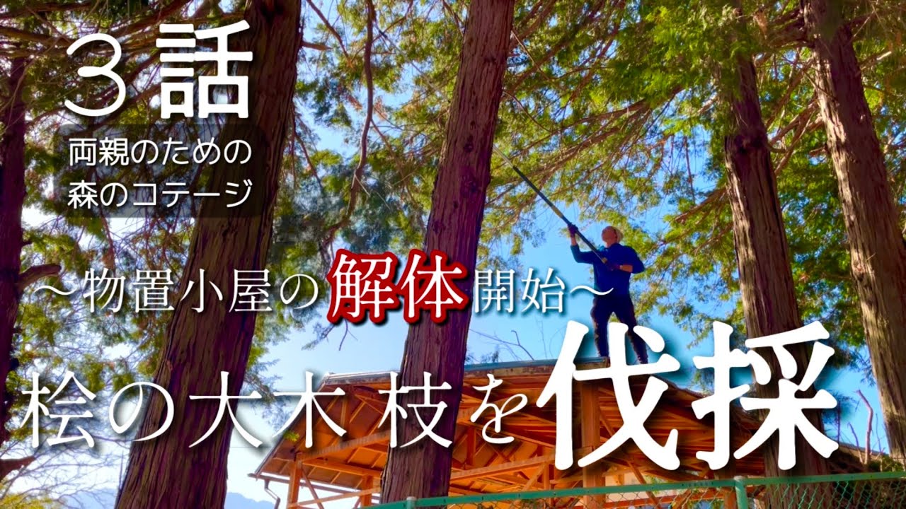 ３話【物置小屋を森のコテージに大改造】解体トタン剥がしと桧の枝を伐採/卵割れコッコは1週間の静養