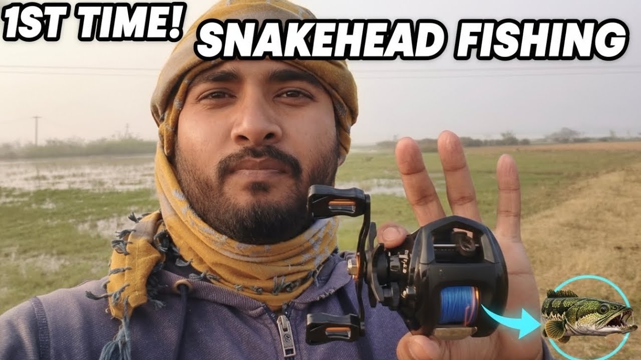 First time experience catching of snakehead fish | पहली बार स्नेकहेड मछली पकड़ने का अनुभव 😱😱😱
