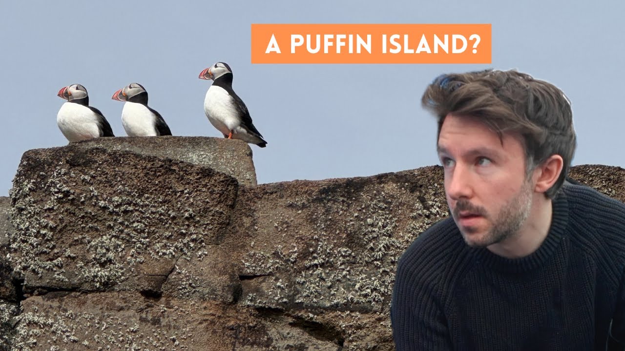 I spent 3 hours on a puffin island