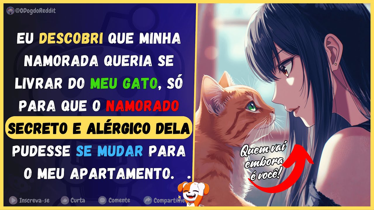 Descobri que minha namorada queria se livrar do meu gato para trazer o amante alérgico dela em casa.
